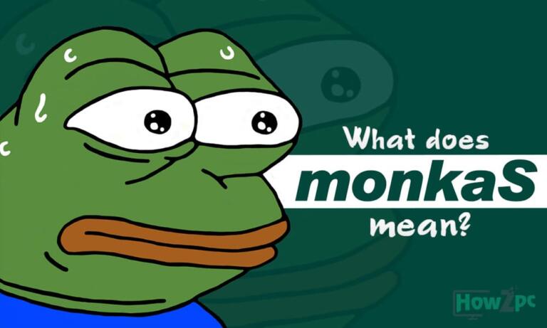 What Does monkaS Mean?